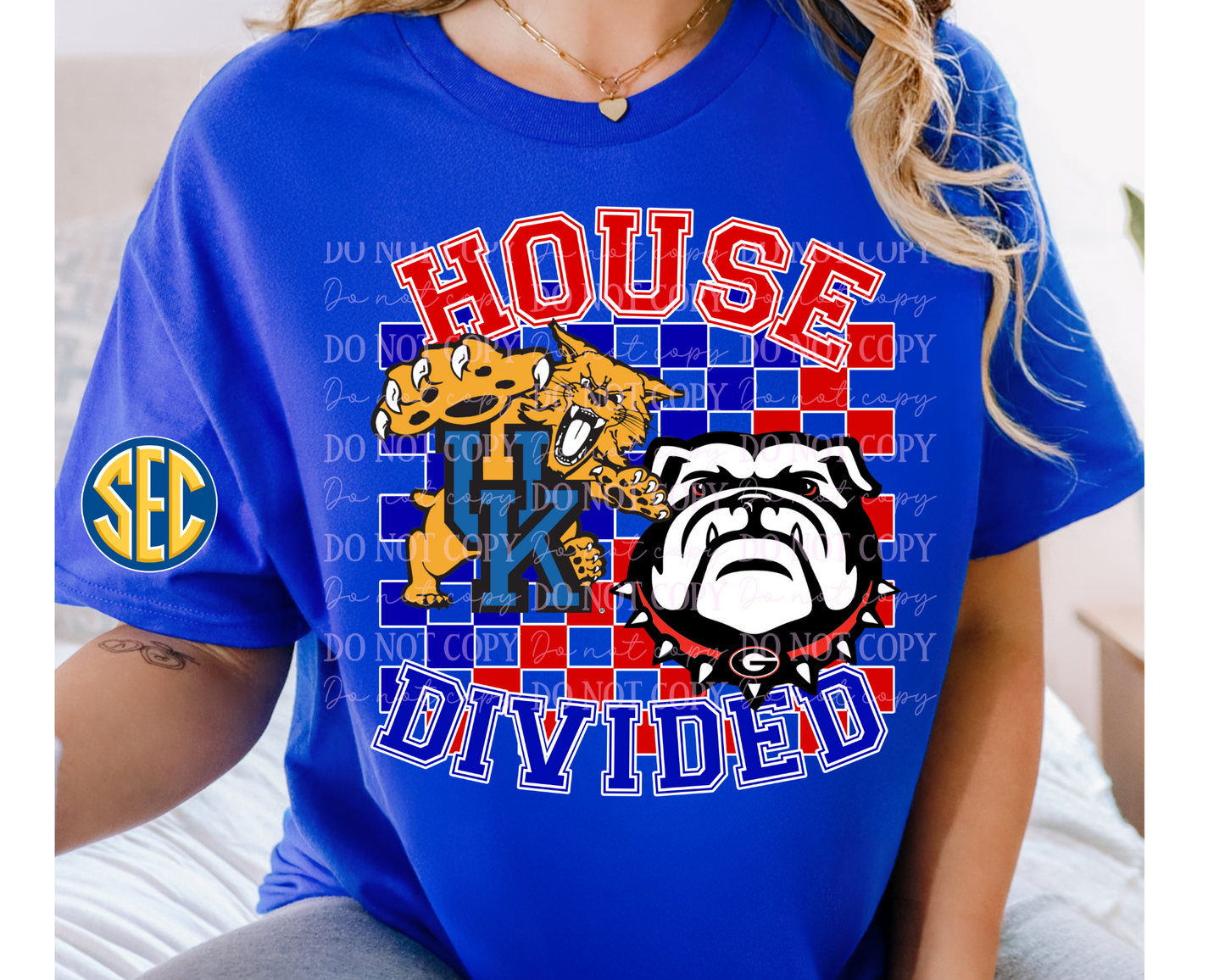 House Divided