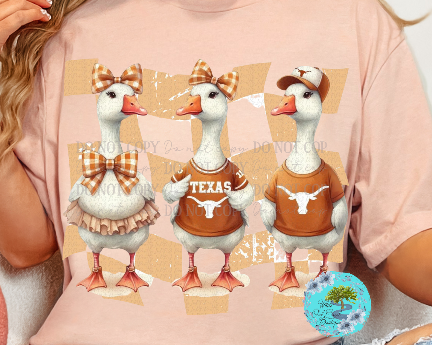 DTF Transfer Texas Geese