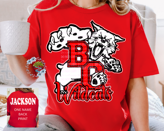 Bath County Wildcats