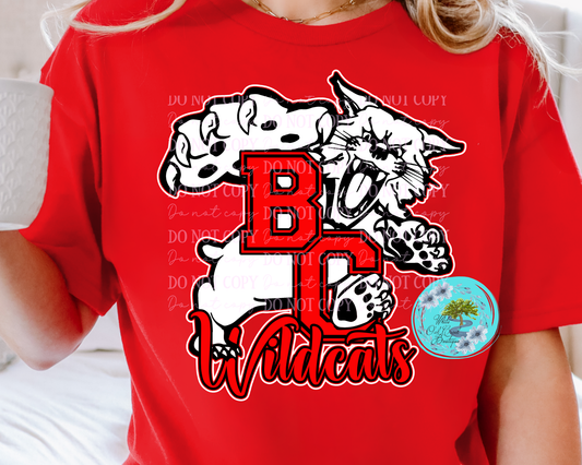 Bath County Wildcats