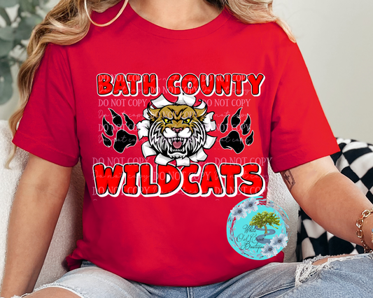 Bath County Wildcats Bubble Font
