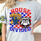 House Divided