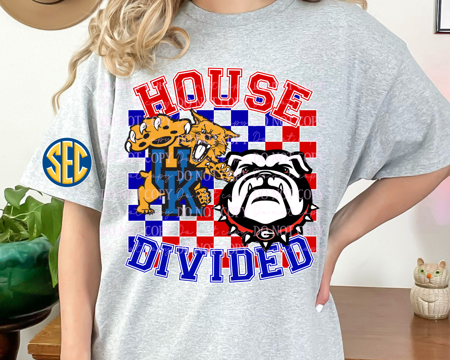 House Divided