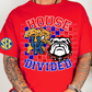 House Divided