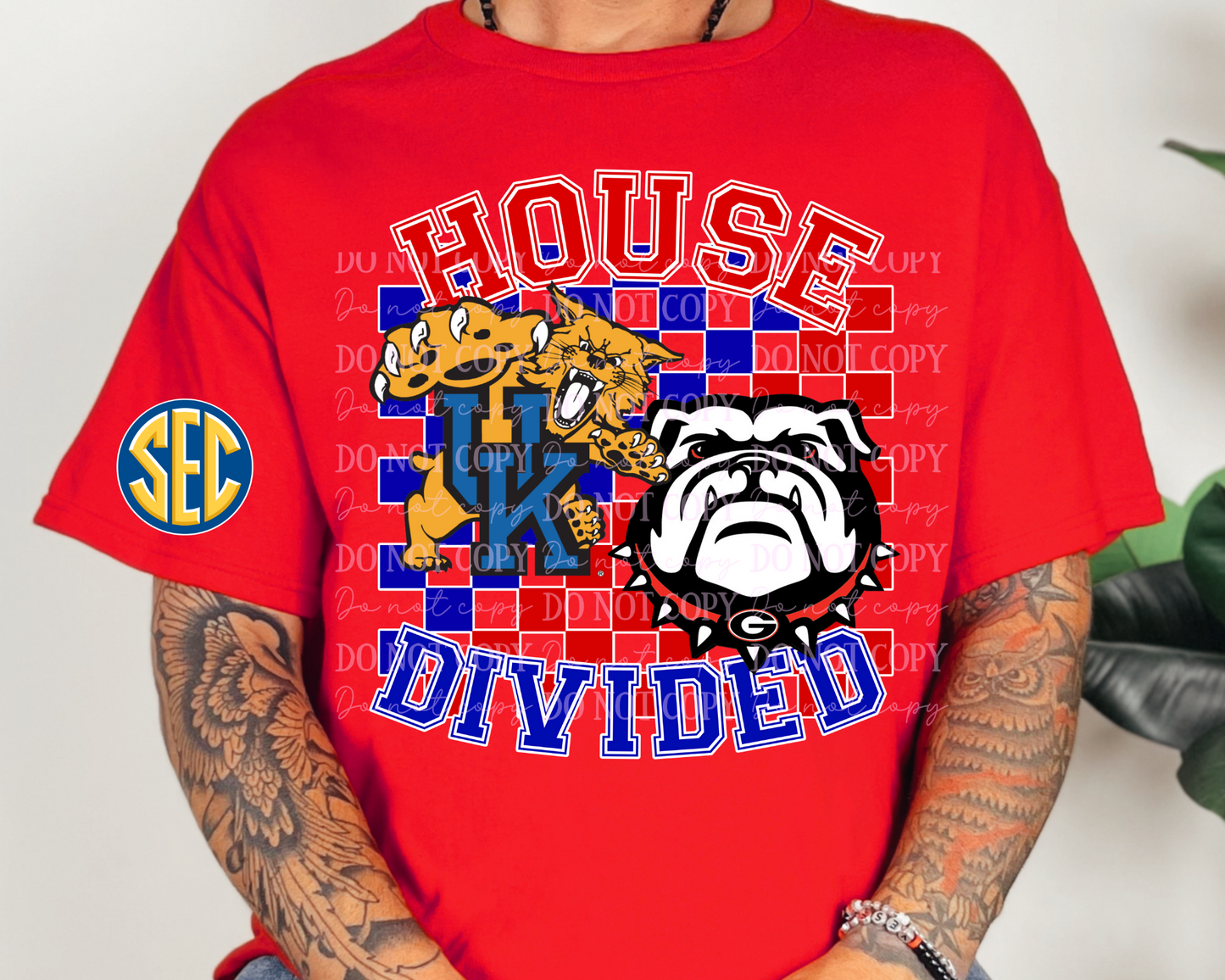 House Divided
