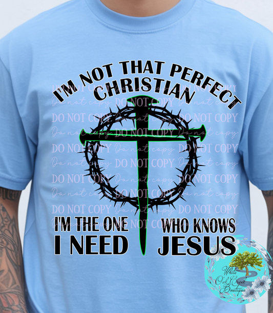 I'm Not a Perfect Christian T-Shirt